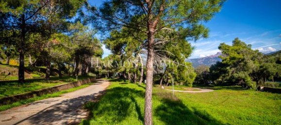 35000m² Commercial property in Ajaccio, France No. 304171 3