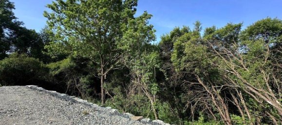 4غرفة منزل في Grosspetersdorf, Austria رقم 176381 10