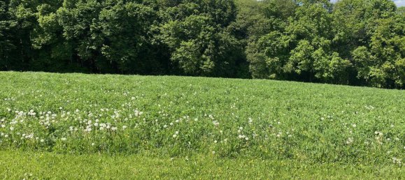 Terreno de 4 divisões em Bad Loipersdorf, Austria N.º 130862 2