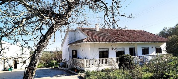 4 bedrooms House in Torres Novas, Portugal No. 21931 8