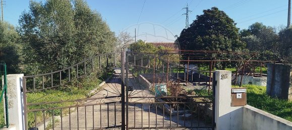 4 bedrooms House in Torres Novas, Portugal No. 21931 3