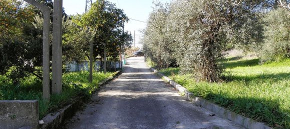 4 bedrooms House in Torres Novas, Portugal No. 21931 45