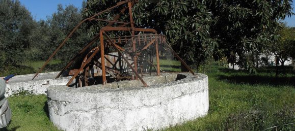 4 bedrooms House in Torres Novas, Portugal No. 21931 10