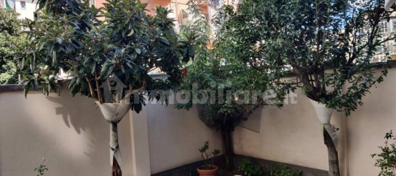 5 rooms Building in Turin, Italy No. 319102 16