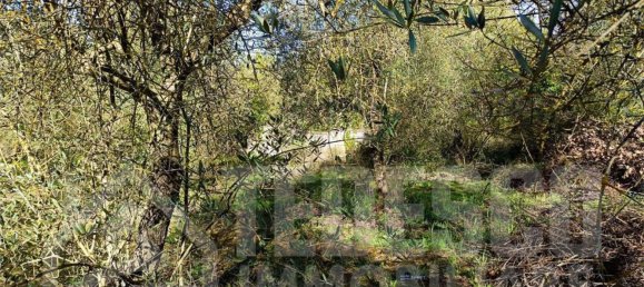  Land in San Nicola Manfredi, Italy No. 369963 21