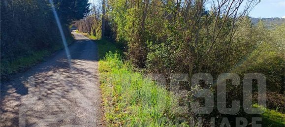  Land in San Nicola Manfredi, Italy No. 369963 46