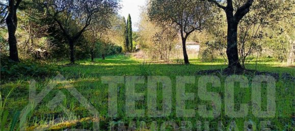  Land in San Nicola Manfredi, Italy No. 369963 13