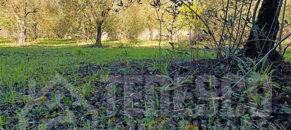  Land in San Nicola Manfredi, Italy No. 369963 12