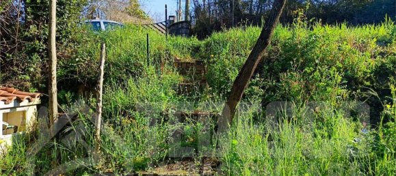  Land in San Nicola Manfredi, Italy No. 369963 6