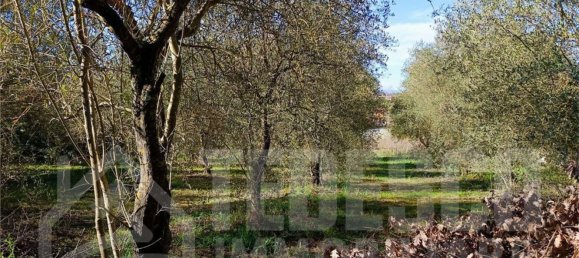  Land in San Nicola Manfredi, Italy No. 369963 22