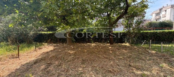 3-Zimmer Wohnung in Mondolfo, Italy, Nr. 301845 30