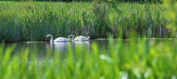 2 غرف نوم منزل في Crookham Village, United Kingdom رقم 3344 18