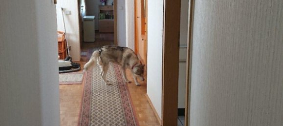 1 غرف نوم عقار تجاري في Northeim, Germany رقم 340726 4