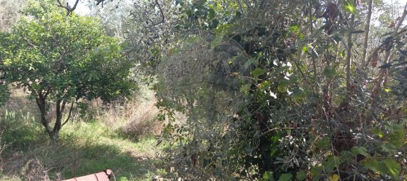 1 bedroom House in Alvaiazere, Portugal No. 33472 5