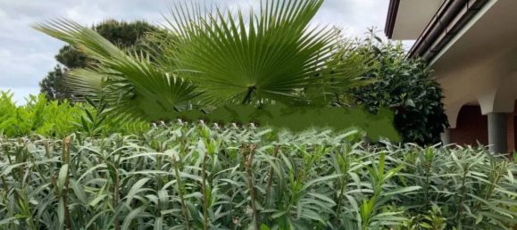 3 rooms Villa in Misano Adriatico, Italy No. 111445 7