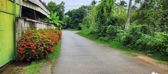 Lagerhaus in Chiang Mai, Thailand 800m², Nr. 57731 19