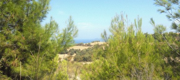 Hotel in Chalkidiki, Greece 4000m², Nr. 8022 3