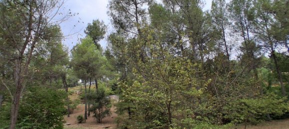 4 bedrooms House in Occitanie, France No. 361270 4