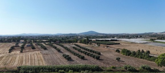 57000m² Land in Montalto di Castro, Italy No. 290477 2