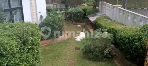 6 bedrooms House in Jakarta, Indonesia No. 1436 5