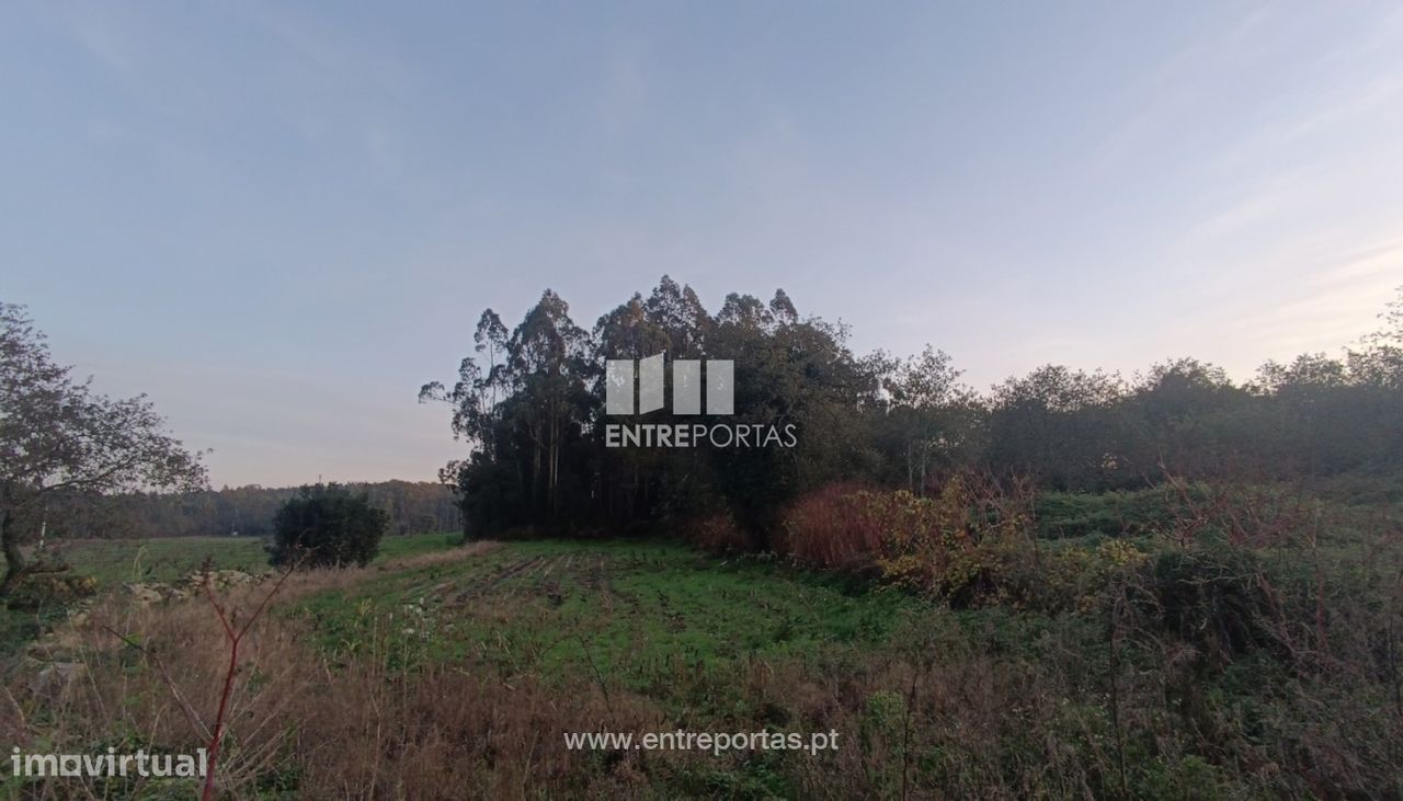 13000m² Land in Vila do Conde, Portugal No. 54913