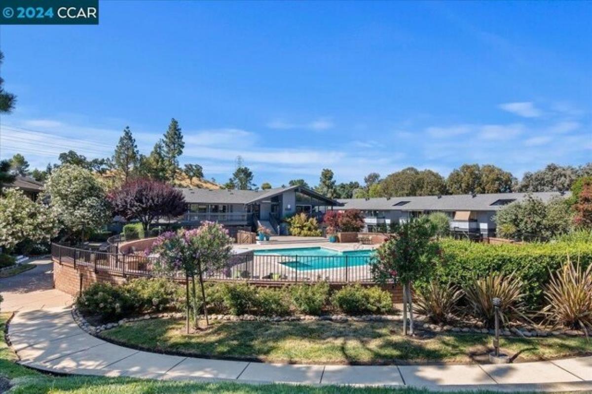 2 bedrooms House in Walnut Creek, USA No. 394147