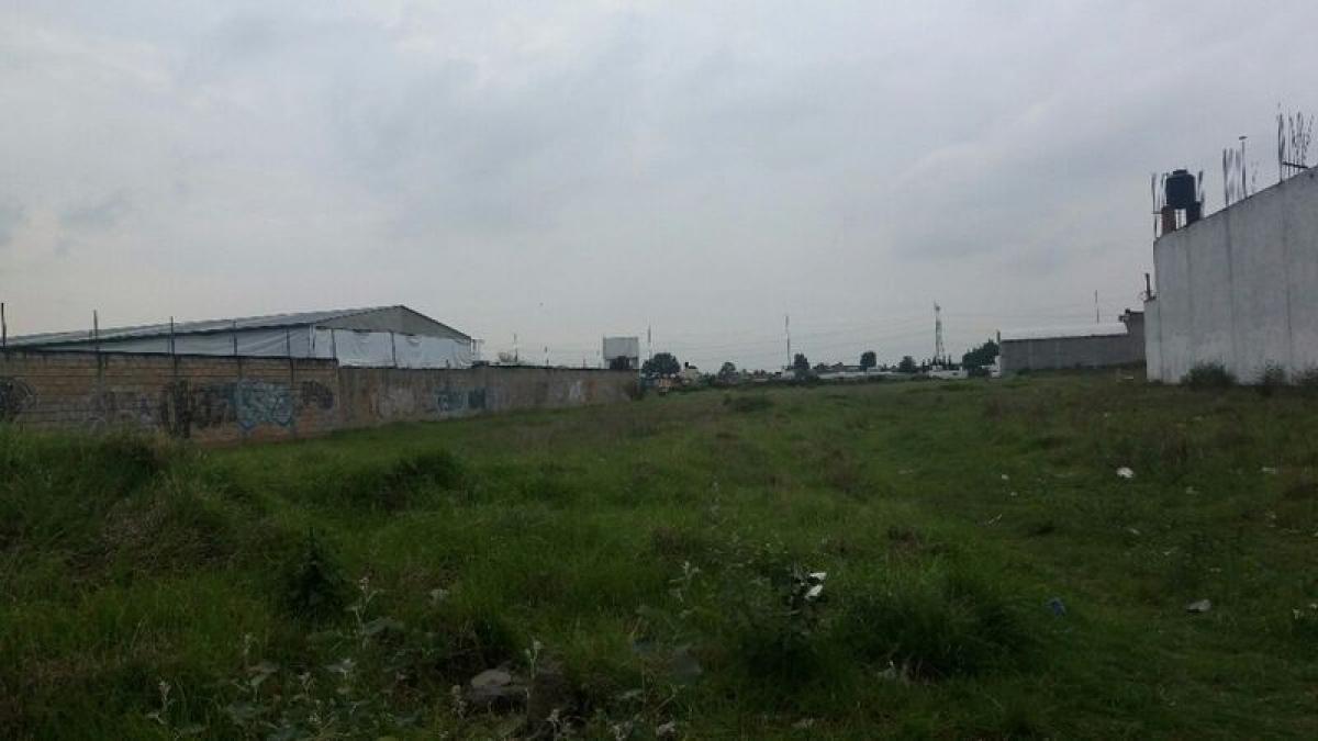  Land in Mexico No. 202656