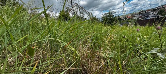 Grundstück in Enzkreis, Germany, Nr. 346625 6