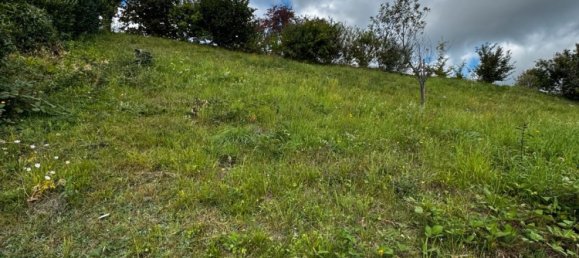 Grundstück in Enzkreis, Germany, Nr. 346625 9