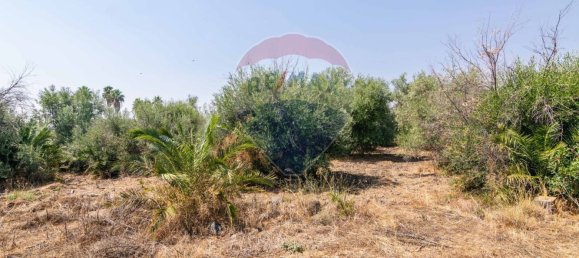 1 chambre Maison à Belpasso, Italy No. 311644 25