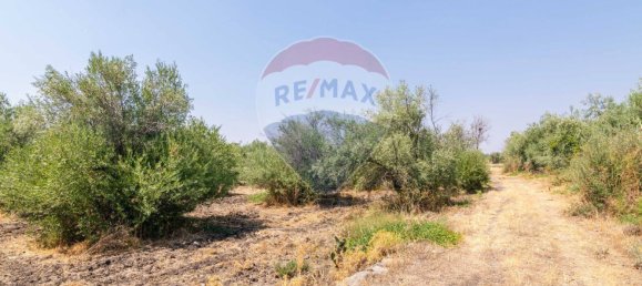 1 chambre Maison à Belpasso, Italy No. 311644 23