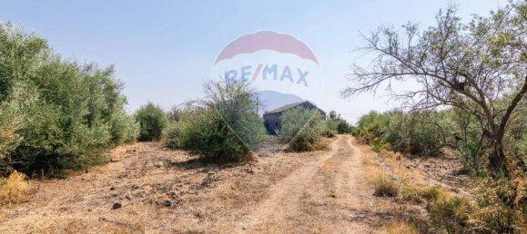 1 chambre Maison à Belpasso, Italy No. 311644 22