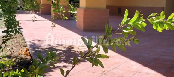 3 غرف نوم فيلا في Poggio Torriana, Italy رقم 168117 5