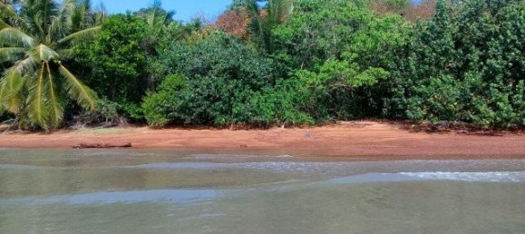 1920m² Commercial property in Phang Nga, Thailand No. 12470 4