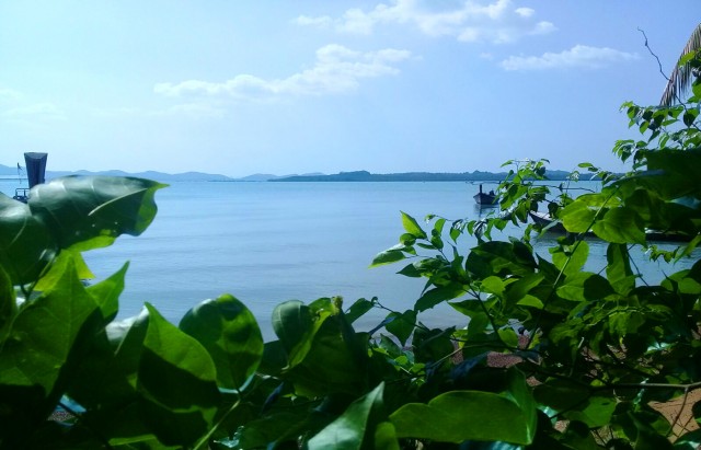 1920m² Commercial property in Phang Nga, Thailand No. 12470