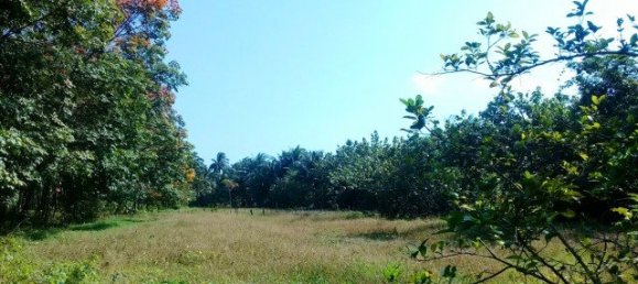 1920m² Commercial property in Phang Nga, Thailand No. 12470 3