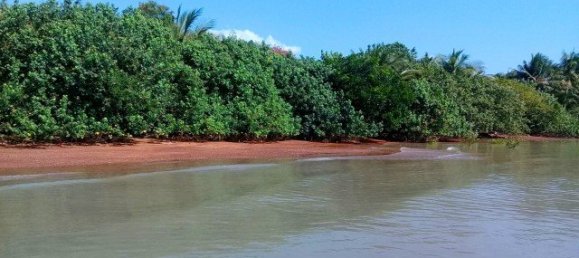 1920m² Commercial property in Phang Nga, Thailand No. 12470 2