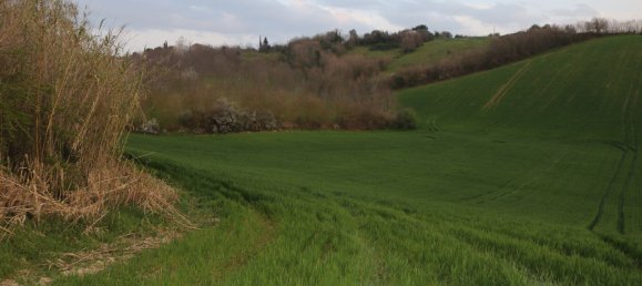 Дом с 6 комнатами в Понцано ди Фермо, Италия № 66098 10