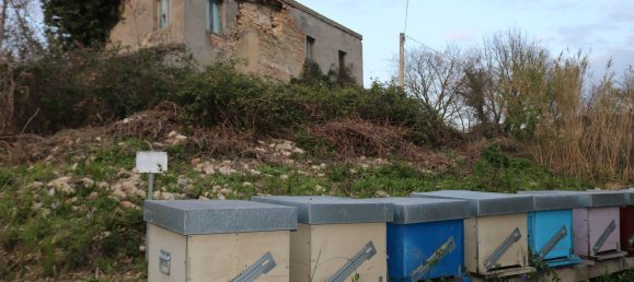 Дом с 6 комнатами в Понцано ди Фермо, Италия № 66098 48