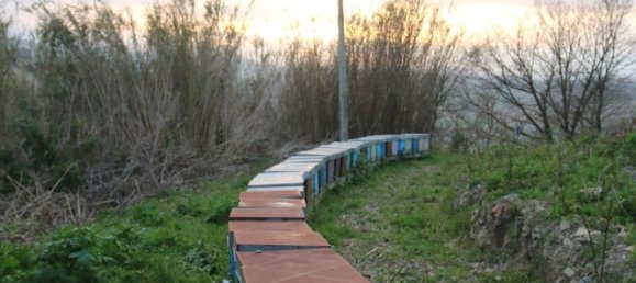 Дом с 6 комнатами в Понцано ди Фермо, Италия № 66098 40