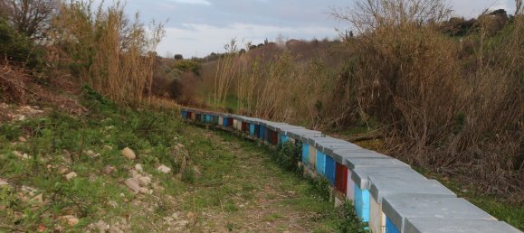 Дом с 6 комнатами в Понцано ди Фермо, Италия № 66098 37