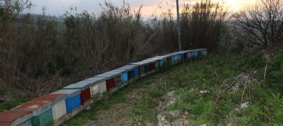 Дом с 6 комнатами в Понцано ди Фермо, Италия № 66098 43