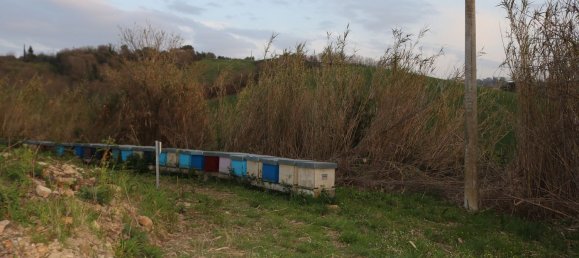 Дом с 6 комнатами в Понцано ди Фермо, Италия № 66098 36