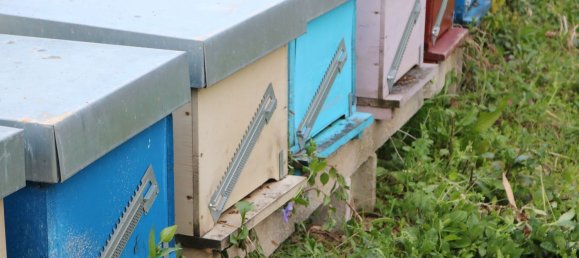 Дом с 6 комнатами в Понцано ди Фермо, Италия № 66098 47