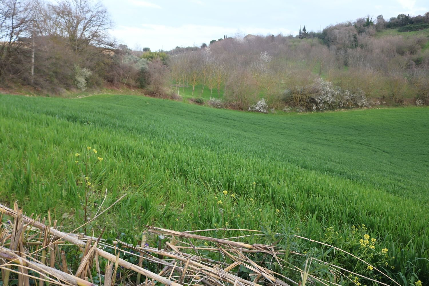 Дом с 6 комнатами в Понцано ди Фермо, Италия № 66098