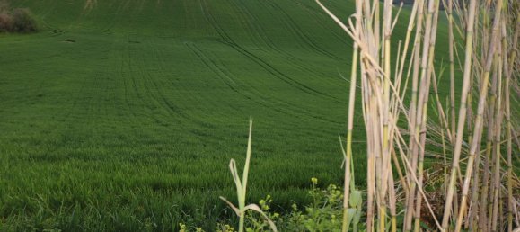 Дом с 6 комнатами в Понцано ди Фермо, Италия № 66098 29