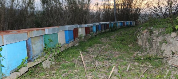 Дом с 6 комнатами в Понцано ди Фермо, Италия № 66098 27