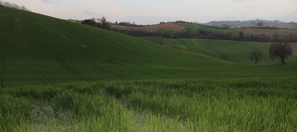 Дом с 6 комнатами в Понцано ди Фермо, Италия № 66098 3