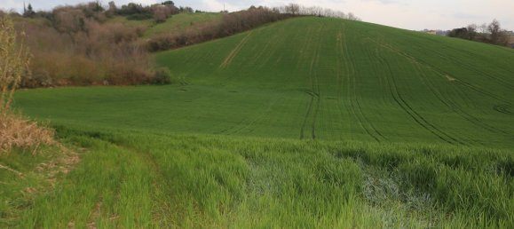 Дом с 6 комнатами в Понцано ди Фермо, Италия № 66098 31