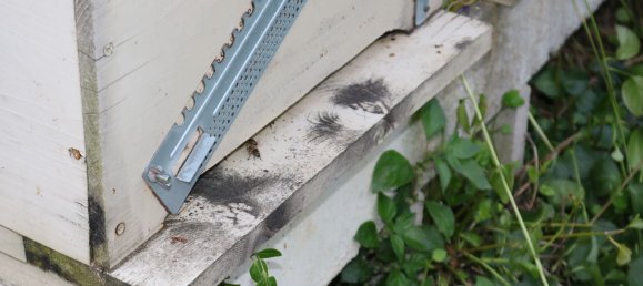 Дом с 6 комнатами в Понцано ди Фермо, Италия № 66098 46